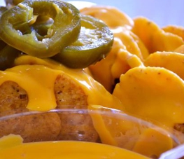 PUESTOS DE ALIMENTOS PARA FIESTAS